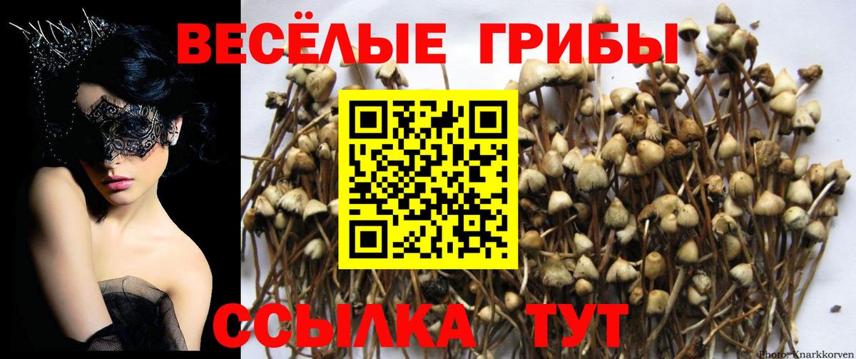 APVP Хабаровск